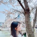 명당한우
