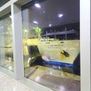 강산약국 | 부산에서 후쿠오카 배편 뉴카멜리아호 탑승 후기 꿀팁 방출~