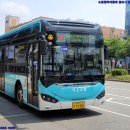 백양무역