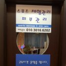 스파시스 티스토리