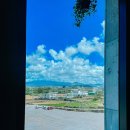 레드서브마린 - 88505 | 제주도 가볼만한곳 한림 레드서브마린 바다체험 핫플레이스