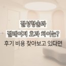 경도정비 | 질성형술과 질레이저 효과 차이는? 후기 비용 찾아보고 있다면