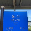 22시즌 K리그 1 울산 문수 월드컵 경기장 직관 후기 1 (5월 14일)