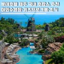 다이브위시제주 | 롯데호텔 제주 국내 호캉스 추천ㅣ해온 야외수영장부터 키즈프로그램 조식 할인 예약꿀팁까지 총정리