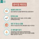 시그니아독일보청기 수영센터 이미지