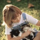 세계로 동물병원 이미지