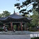 팔각정공원 Daum카페