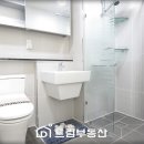 루미드림