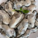 굴로장생 이미지