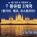 광주하나항공여행사
