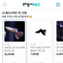 킴디스커스앤구피