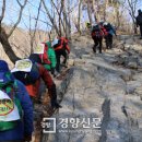 설악산림자원 이미지
