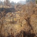 01-23 동구 이미지