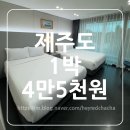 새마을금고 | 9월 제주도 1박 4만 원대 가성비 숙소 새마을금고연수원 이용 후기