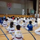 원미창조태권도 이미지