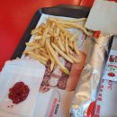 아쿠아랩 잠실 롯데월드점 | 샤롯데 혼밥 추천 KFC 잠실롯데월드점 트위스터 켄치밥 내돈내산 솔직후기