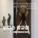 헤드갤러리아 | 광교두피 탈모관리 모디슨/ 최대규모 헤드스파 맛집 후기