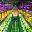 김문수농장 이미지