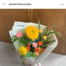 포티드플라워스튜디오 이미지