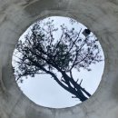 [연미산 자연미술공원_공주] 금강자연미술센터 세종근교야외미술관 공주야외미술관