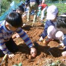 해미초등학교 이미지