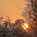 이너피스 이미지