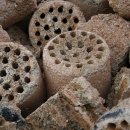 대한연탄사업 이미지