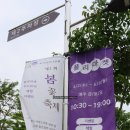 경기도 용인 가볼만한곳 용인자작나무숲 드론뷰와 내부까지 한눈에