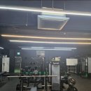 멸치탈출연구소 이미지