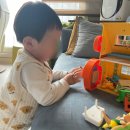 부라보어린이집 | 이렇게 살아야 하는 22개월 제주 여행 일상