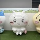 션샤인캣 네이버블로그