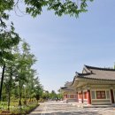 네잎클로버의 메아리 이미지