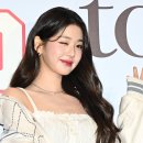 타미 이미지