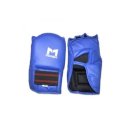 코브라 권투 체육관 이미지