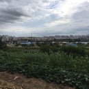 농소2동 주민센터 이미지