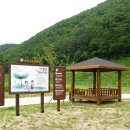 생림오토캠핑장 이미지