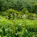 성찬농장 이미지