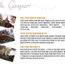 공세리성지성당박물관 Daum카페