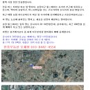 안중터미널 이미지