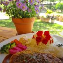 사기막리 | 🌿 강릉 1992년 사기막 | 도자기 공장에서 피어난 숲속 힐링 공간