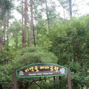 생곡리 미약골 | 강원홍천 미약골 계곡과 삼봉휴양림