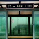 추월산우리별정원민박 | 백령도 숙소 급하게 못 구할 뻔한 이유