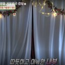 호지보보