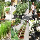 범계초등학교 이미지