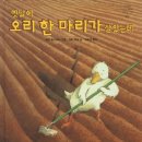 다시오리 이미지