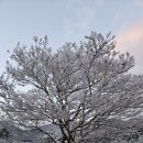 예락원