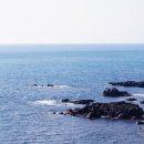 제주수월이 이미지