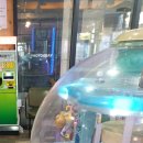 팡팡게임존 이미지