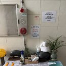 순이네민박 이미지