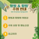 말벌&amp;땅벌 주의안내 사항 이미지